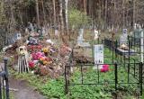 Жительница Сатки обратила внимание на кучу мусора посреди кладбища Жительница Сатки обратила внимание на кучу мусора посреди кладбища