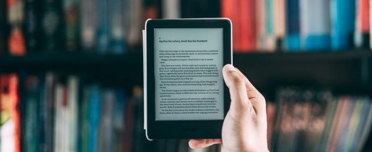 Челябинская область заняла 3-е место по числу выданных электронных книг сервисом «Литрес Библиотеки»