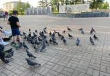 «Опасная забава»: постоянные обитатели сквера Славы в Сатке несут угрозу 