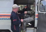 Выйти из леса: в Челябинской области спасатели помогают грибникам вернуться домой