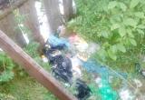 «Слов нет!»: жительница Бердяуша обнаружила неприятную находку у забора «Слов нет!»: жительница Бердяуша обнаружила неприятную находку у забора