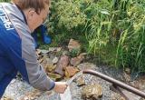 В каких родниках вода безопасна, а где выявлены нарушения? Рассказываем В каких родниках вода безопасна, а где выявлены нарушения? Рассказываем