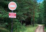 Выходные обещают дождливыми. Но найдутся те, кто поедет в лес за грибами и ягодами или просто на отдых