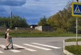 Безопасность детей на дорогах: сотрудники полиции выявили нарушения ПДД