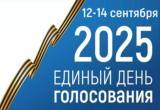 Жители Саткинского округа выбирают депутатов Законодательного собрания