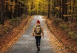 Хорошее время для творчества: гороскоп и народные приметы на 16 сентября 
