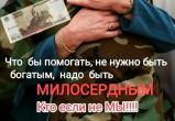 Волонтеры запускают акцию «Стольник»: идет активная подготовка к отправке гуманитарного конвоя. Важна помощь каждого!