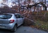В Межевом из-за стихийного бедствия пострадали несколько автомобилей 