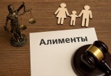 Минимальную сумму алиментов предложили установить на уровне половины МРОТ. Закон об этом внесен в Госдуму