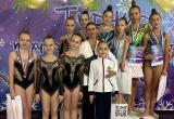 Призовые места заняли саткинские гимнастки