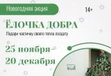 «Елочка добра» - так называется благотворительная акция, организованная Саткинской библиотекой