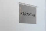 В Челябинской области объявили карантин по гриппу 