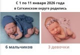 В новогодние каникулы в Саткинском округе на свет появились девять мылышей