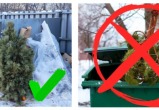 Елки-палки. Жители Саткинского округа начали избавляться от новогодних деревьев