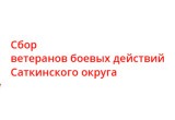Ветеранов боевых действий Саткинского муниципального округа приглашают на встречу