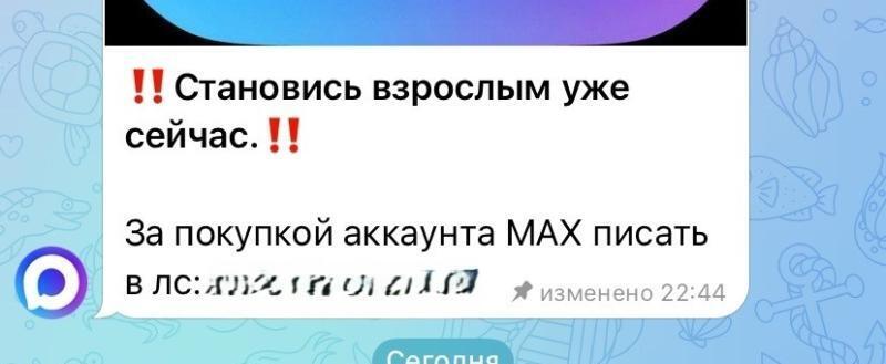 «Становись взрослым уже сейчас…»: в сети распространяется информация о том, что подростки скупают поддельные аккаунты MAX