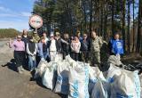 Убрать мусор. В Саткинском округе продолжаются субботники