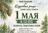 В Саткинском округе высадят кедры в память о погибших бойцах СВО