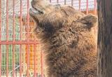 Совсем скоро к медведю Степану можно будет приехать в гости