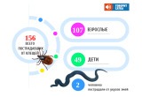 В Саткинском округе нападают не только клещи, но и змеи