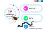В Саткинском округе нападают не только клещи, но и змеи
