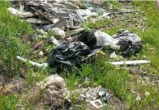 Четыре несанкционированные свалки будут ликвидированы в Саткинском округе