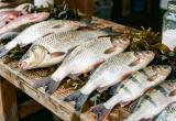 Рыба дорогая. ФАС предлагает оптимизировать цены на рыбную продукцию