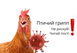 От гриппа страдают птицы... и люди. В Саткинской ветлечебнице напомнили важные правила