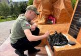 &laquo;Герои среди нас&raquo;: Сатка готовится к празднованию Дня ветеранов боевых действий