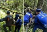 Потребовалась помощь спасателей: мужчина собирал ягоды и сорвался в овраг