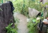 Дожди и подтопления: ситуация в Саткинском округе