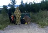 &laquo;Мусор не исчезнет сам&raquo;: активисты Межевого взывают к совести местных жителей