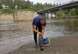 В Саткинском округе проведен отбор проб воды