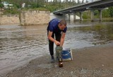 В Саткинском округе проведен отбор проб воды