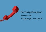 Роспотребнадзор открыл &laquo;горячую линию&raquo; по детским товарам и школьным принадлежностям