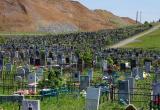 &laquo;За пределами города?&raquo;: в Сатке назвали участок будущего кладбища 