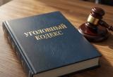 В Сатке девушку будут судить за участие в мошеннической схеме