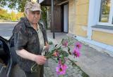&laquo;Минутная прихоть &ndash; и клумба погибла&raquo;: в Межевом орудует хулиган 