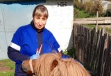 Эмпатия и ответственность: о буднях Саткинской ветлечебницы рассказала Анна Никитина