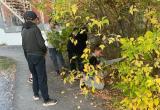Юные саткинские волонтеры сделали путь к детсаду безопаснее